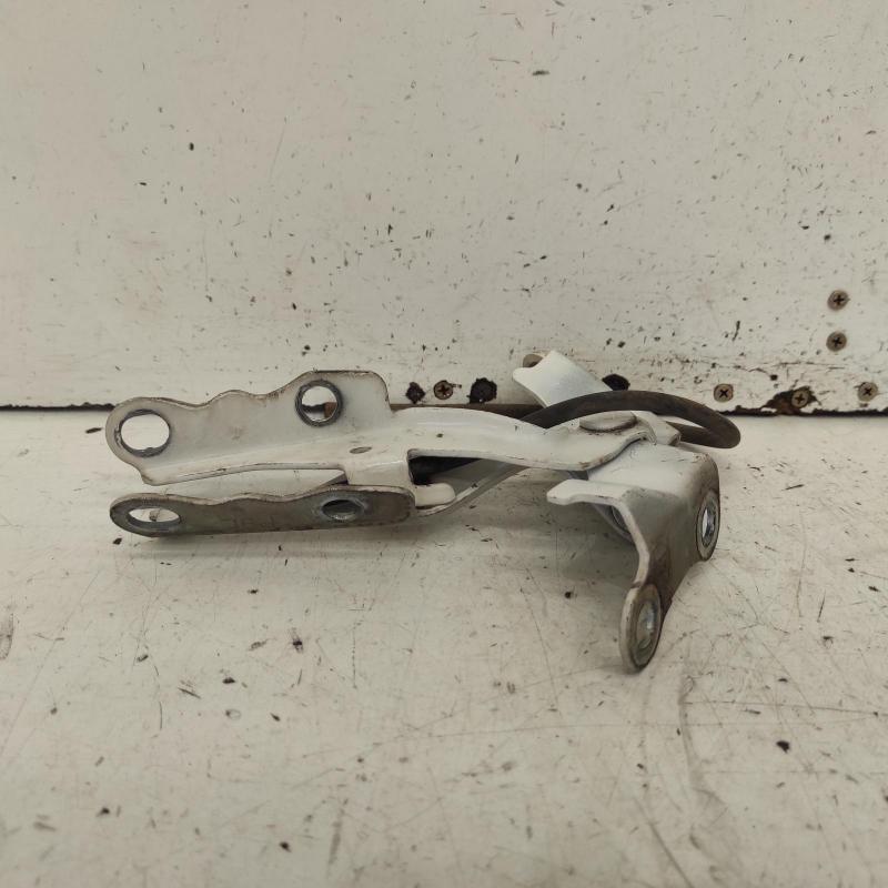 bonnet hinge/strut
