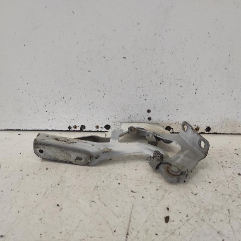 bonnet hinge/strut
