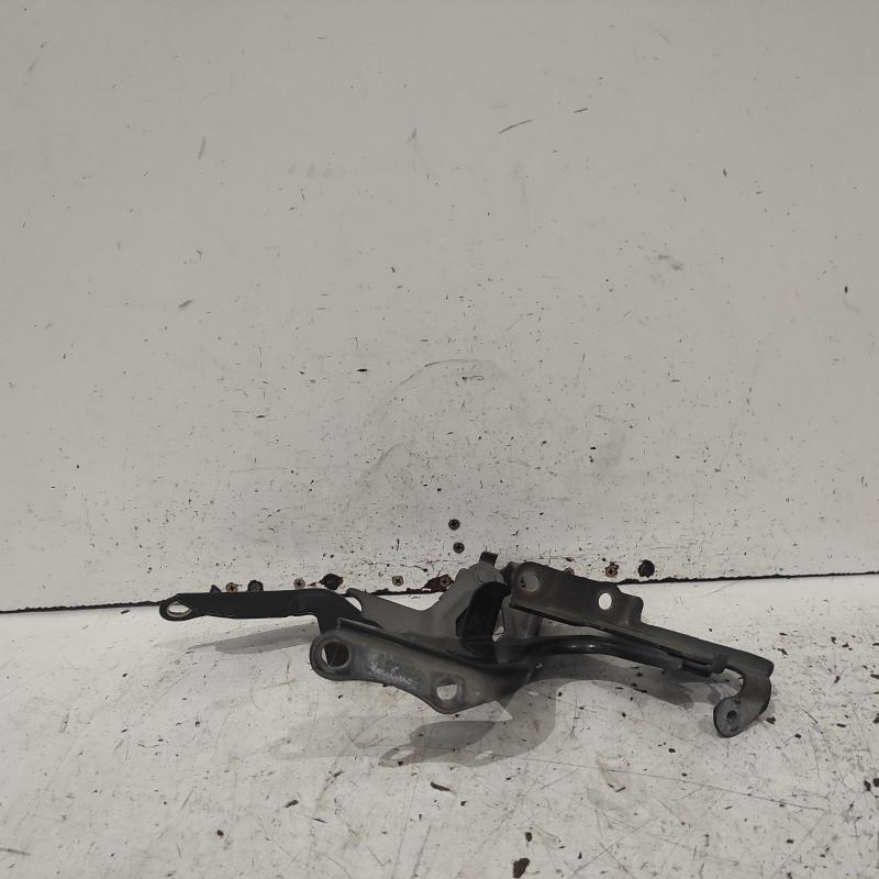 bonnet hinge/strut