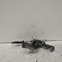 bonnet hinge/strut