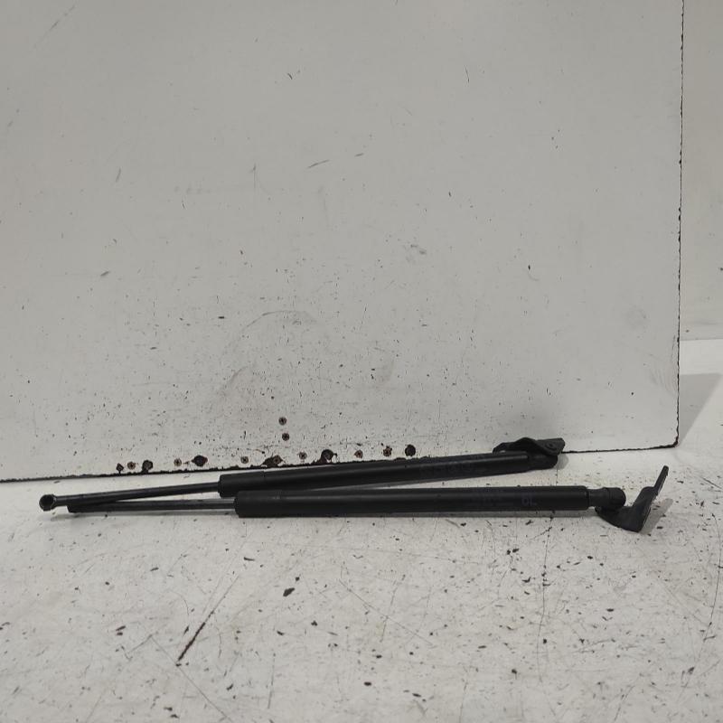 hatch strut
