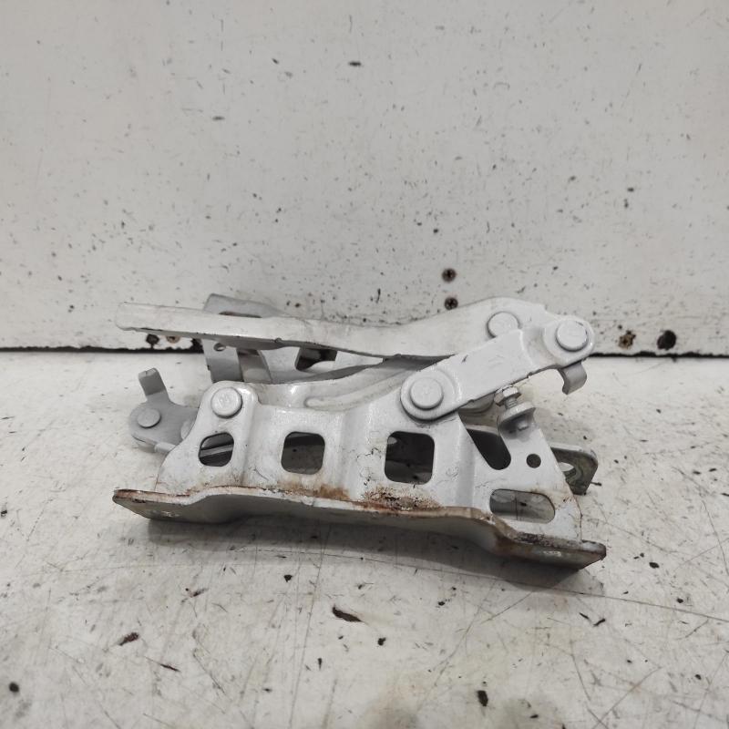 bonnet hinge/strut