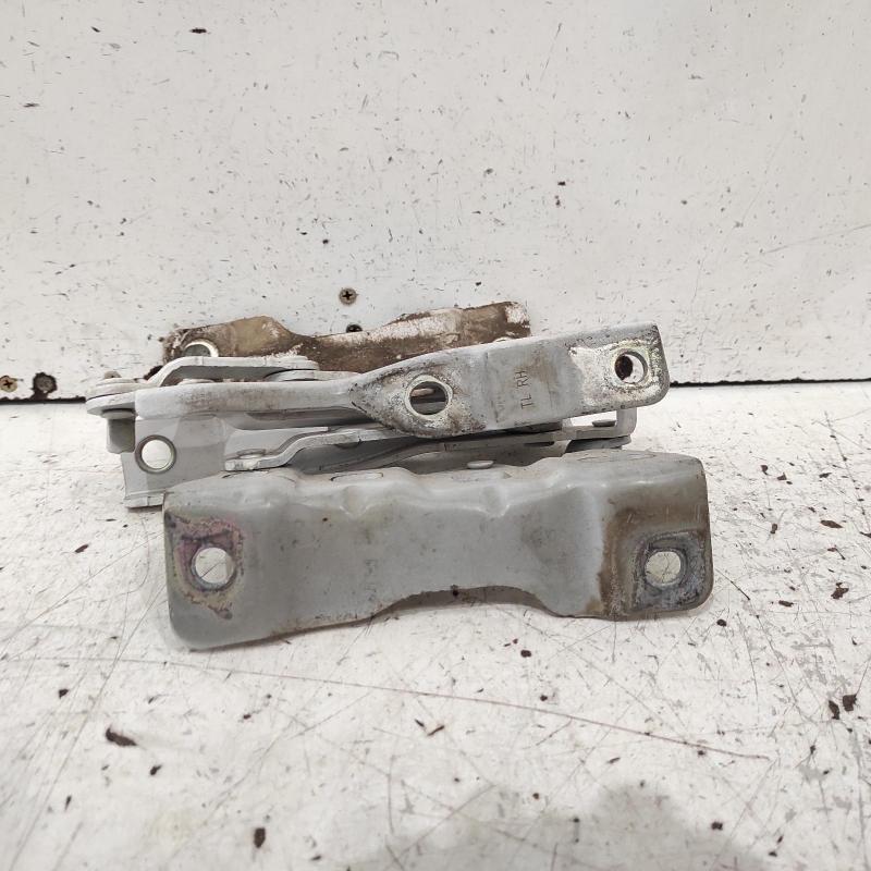 bonnet hinge/strut