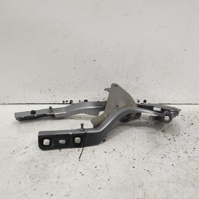 bonnet hinge/strut