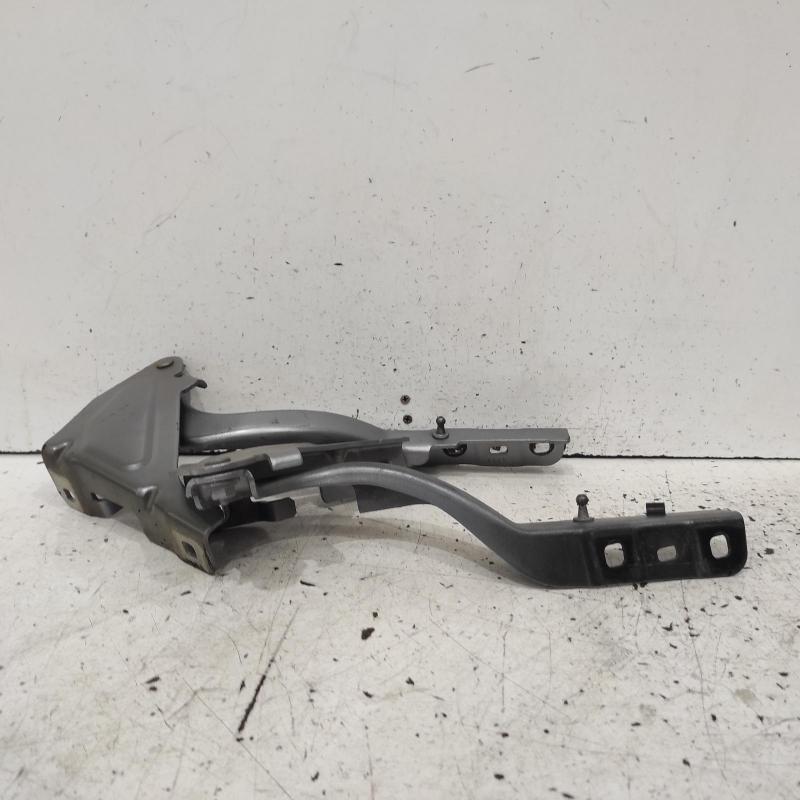 bonnet hinge/strut