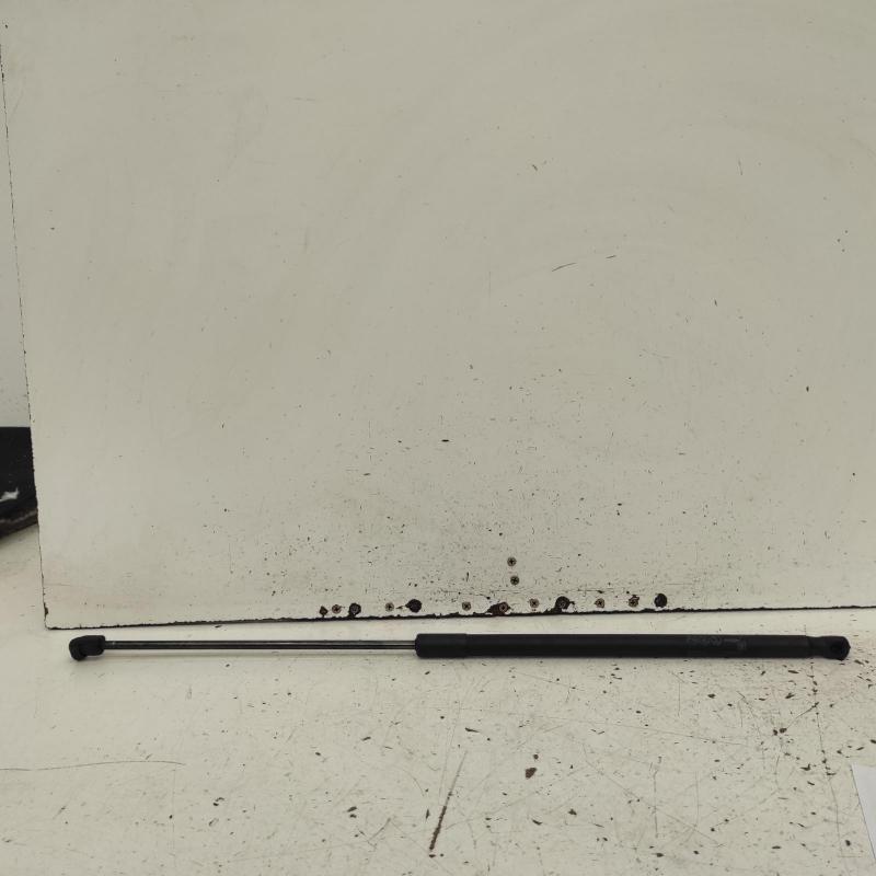 bonnet hinge/strut
