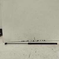 bonnet hinge/strut