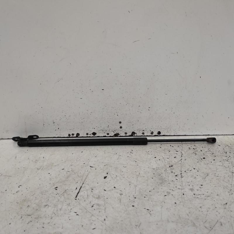 hatch strut