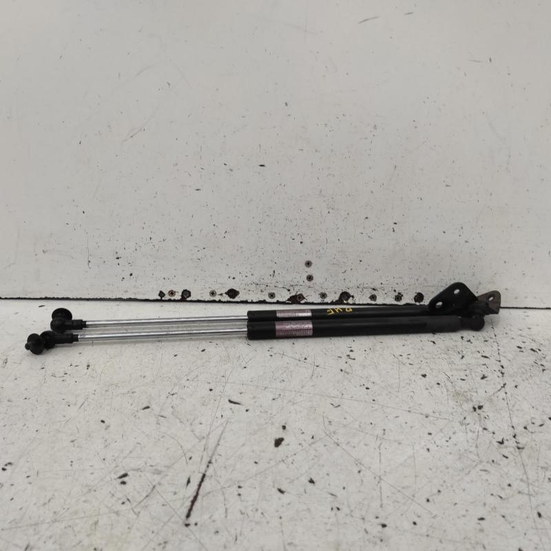 bonnet hinge/strut
