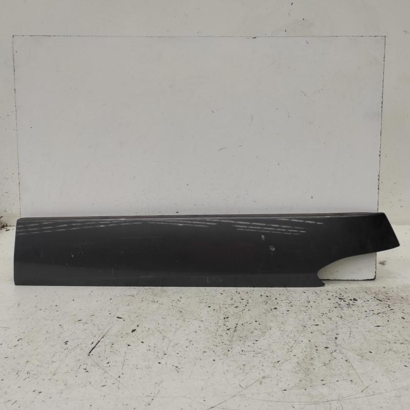 body/door mould