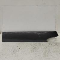body/door mould
