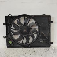 fan