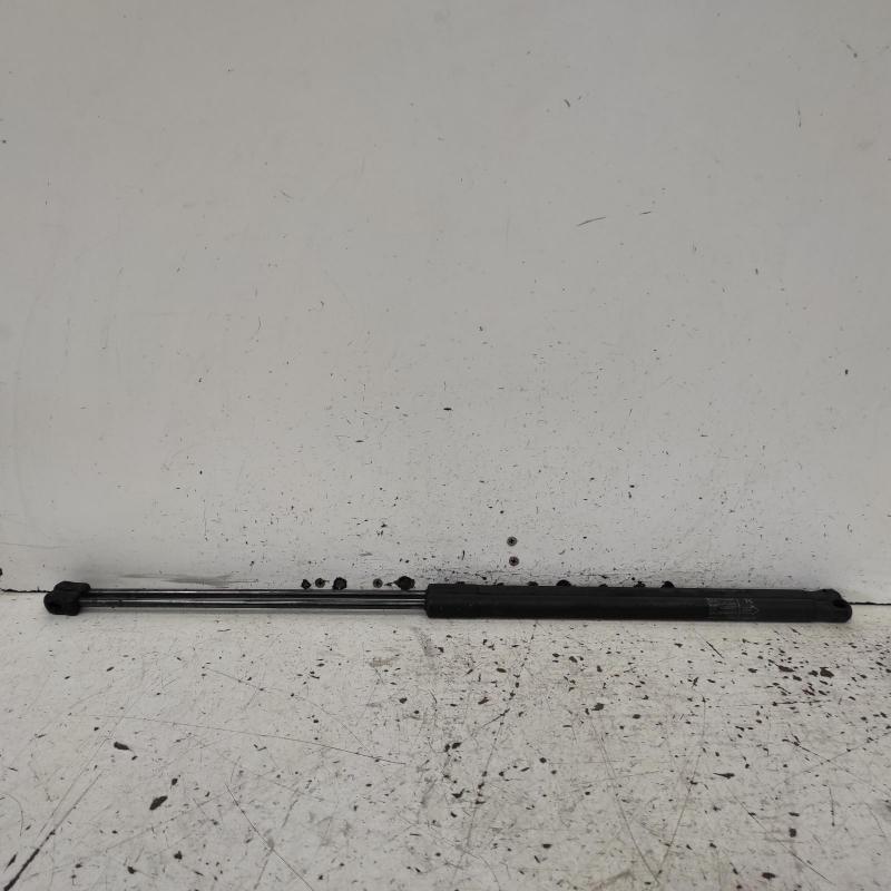 bonnet hinge/strut