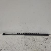 bonnet hinge/strut