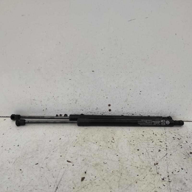 hatch strut
