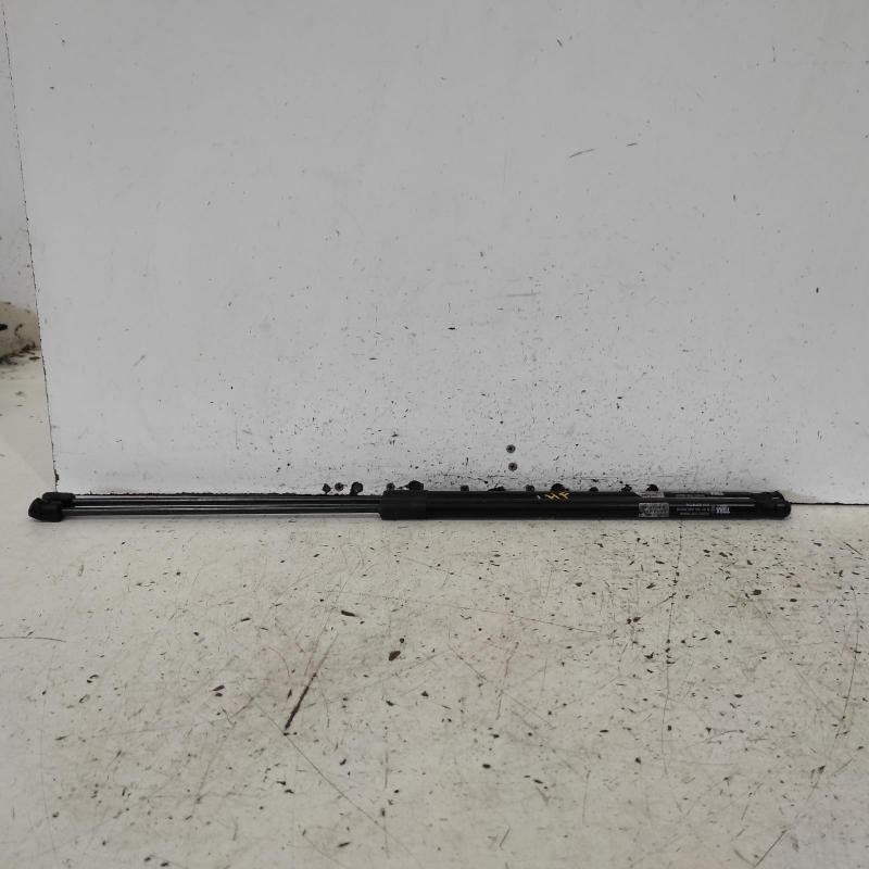 bonnet hinge/strut