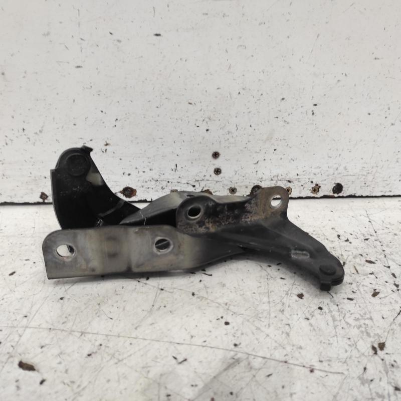 bonnet hinge/strut