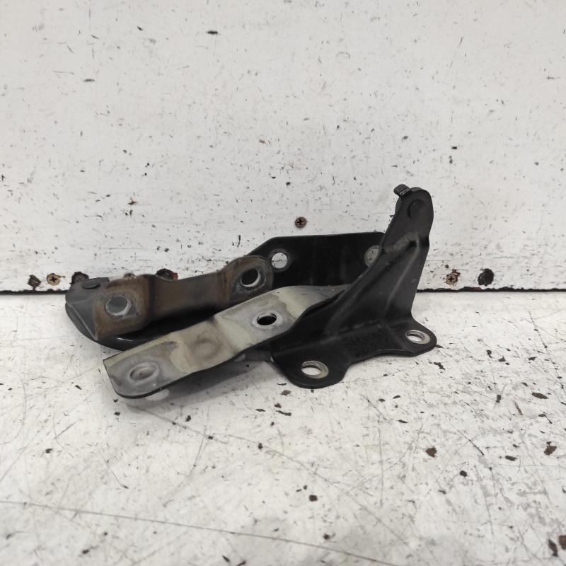 bonnet hinge/strut
