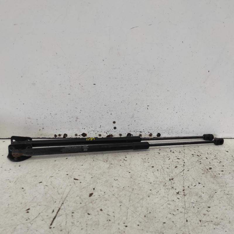 hatch strut
