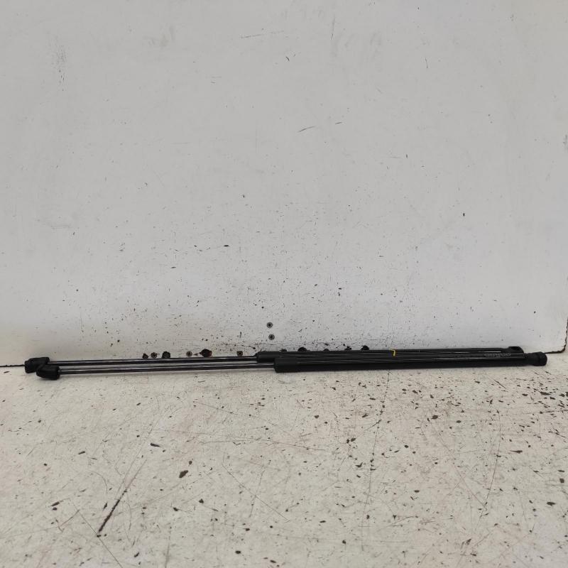 bonnet hinge/strut