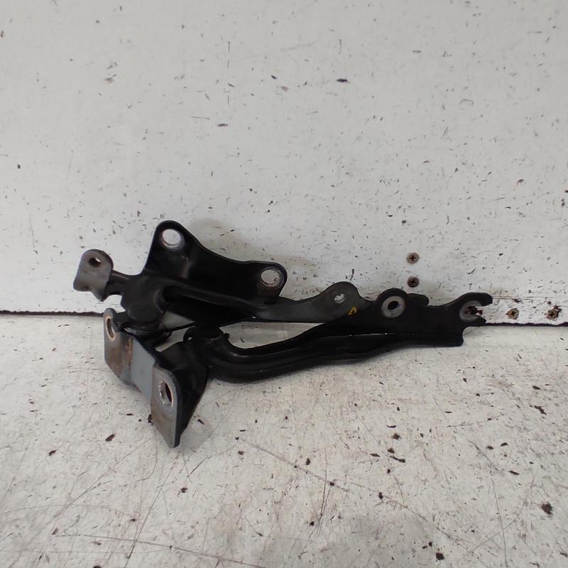 bonnet hinge/strut