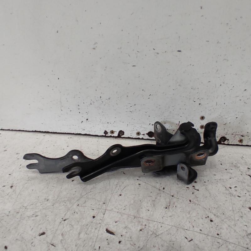 bonnet hinge/strut