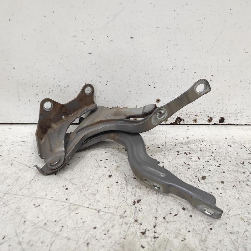 bonnet hinge/strut