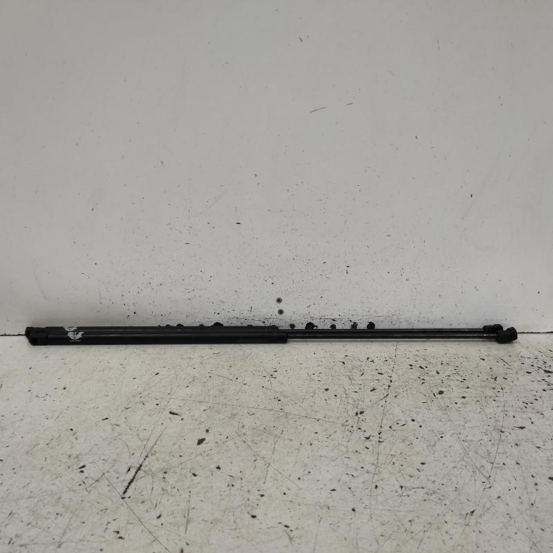 bonnet hinge/strut
