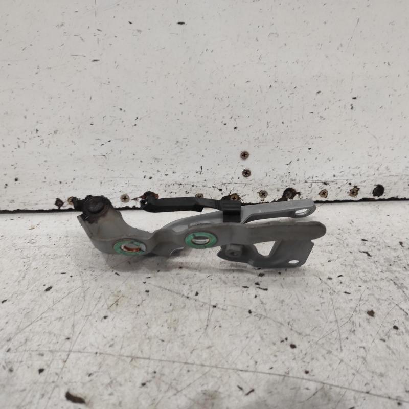 bonnet hinge/strut