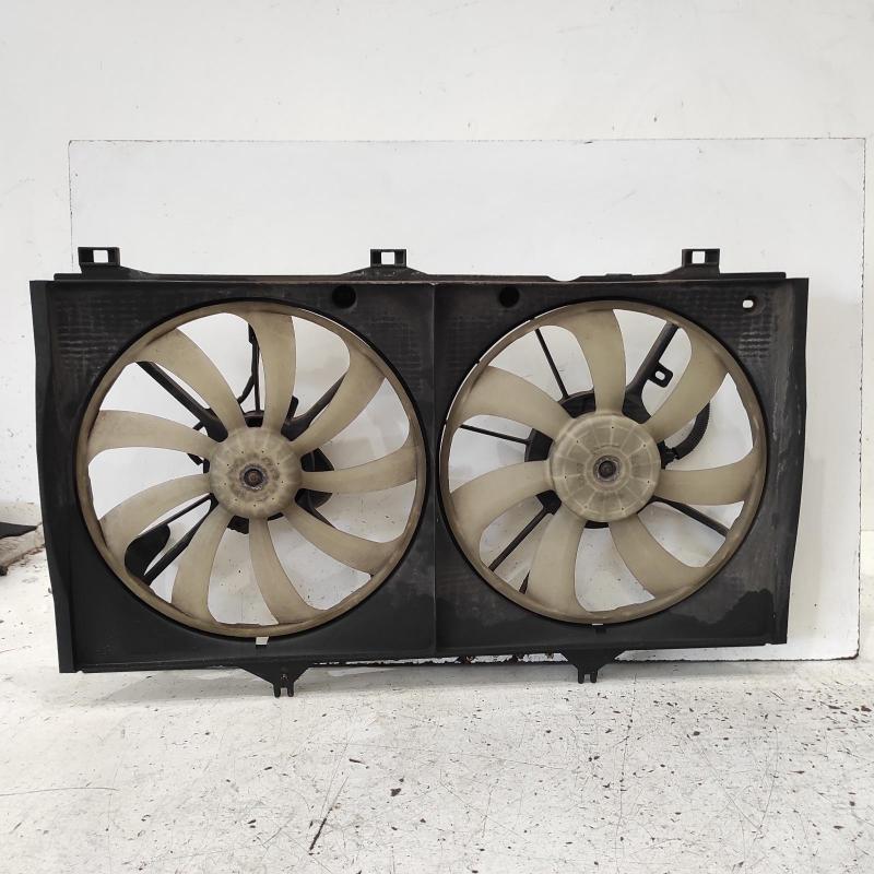 fan