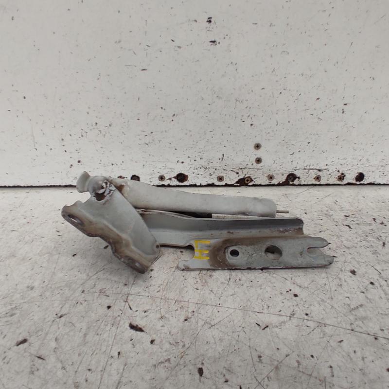 bonnet hinge/strut