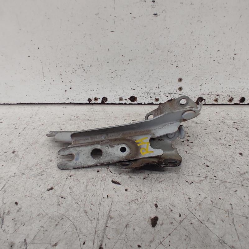 bonnet hinge/strut