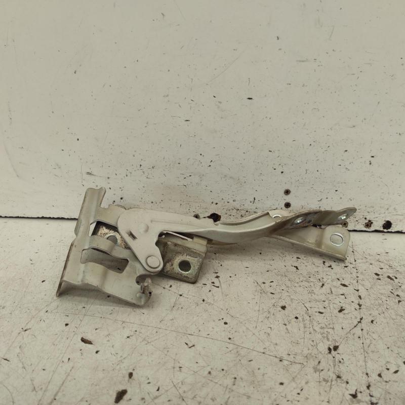 bonnet hinge/strut