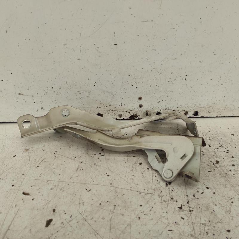 bonnet hinge/strut