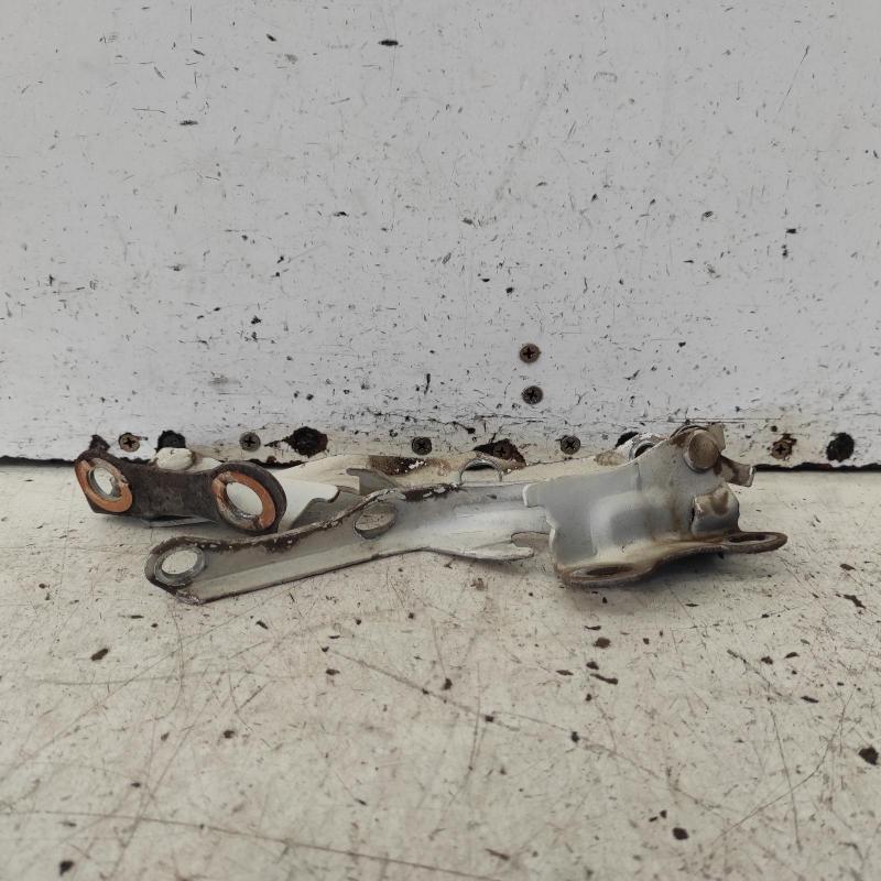 bonnet hinge/strut