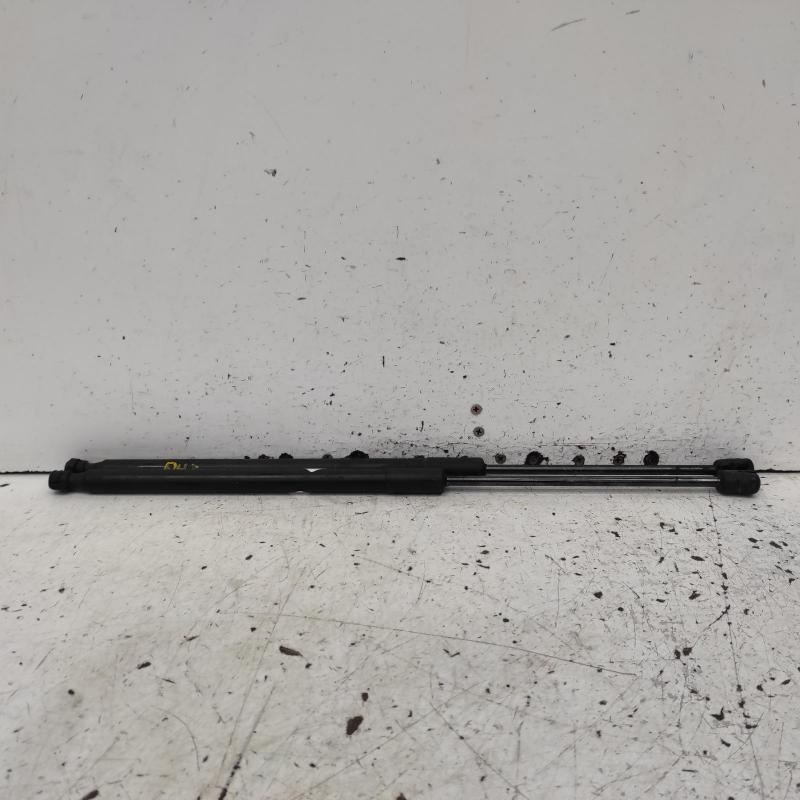 bonnet hinge/strut