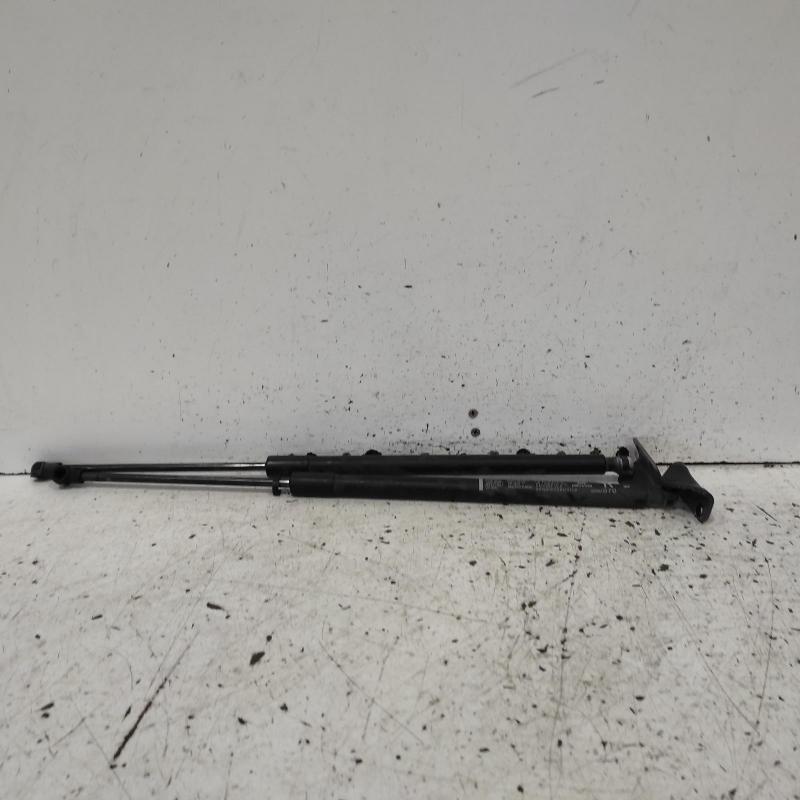 hatch strut