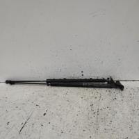 hatch strut