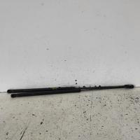 bonnet hinge/strut