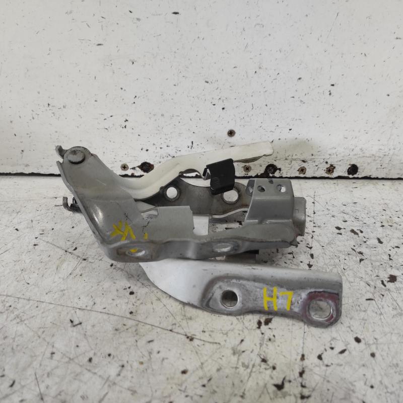 bonnet hinge/strut