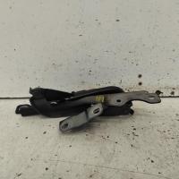 bonnet hinge/strut
