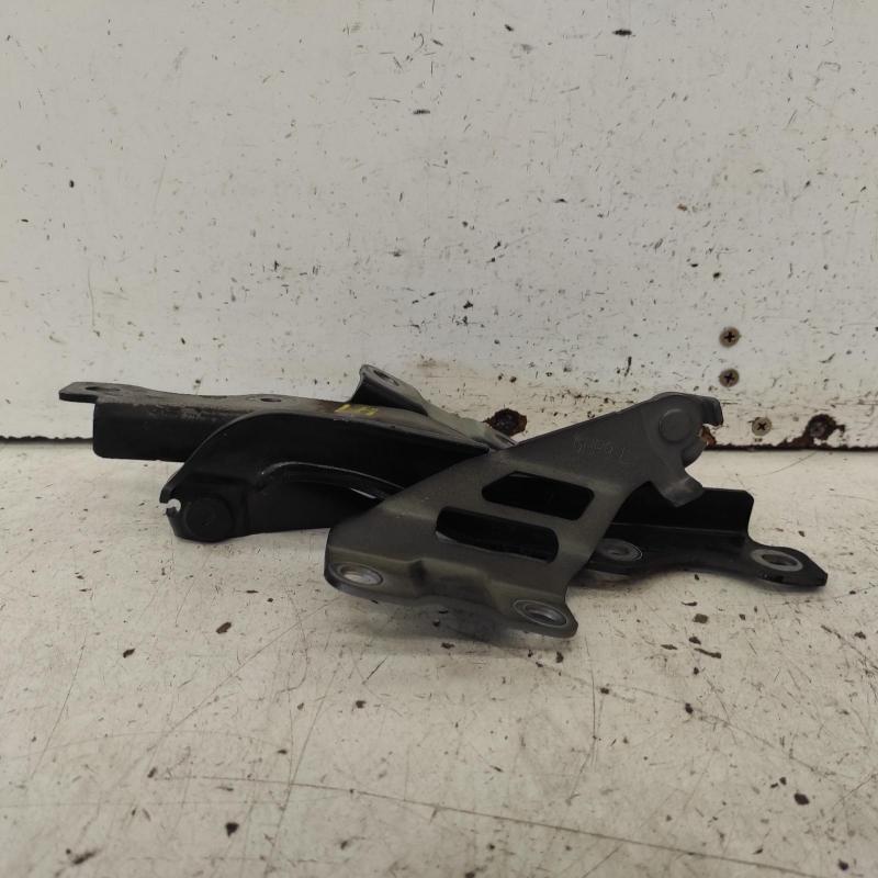 bonnet hinge/strut
