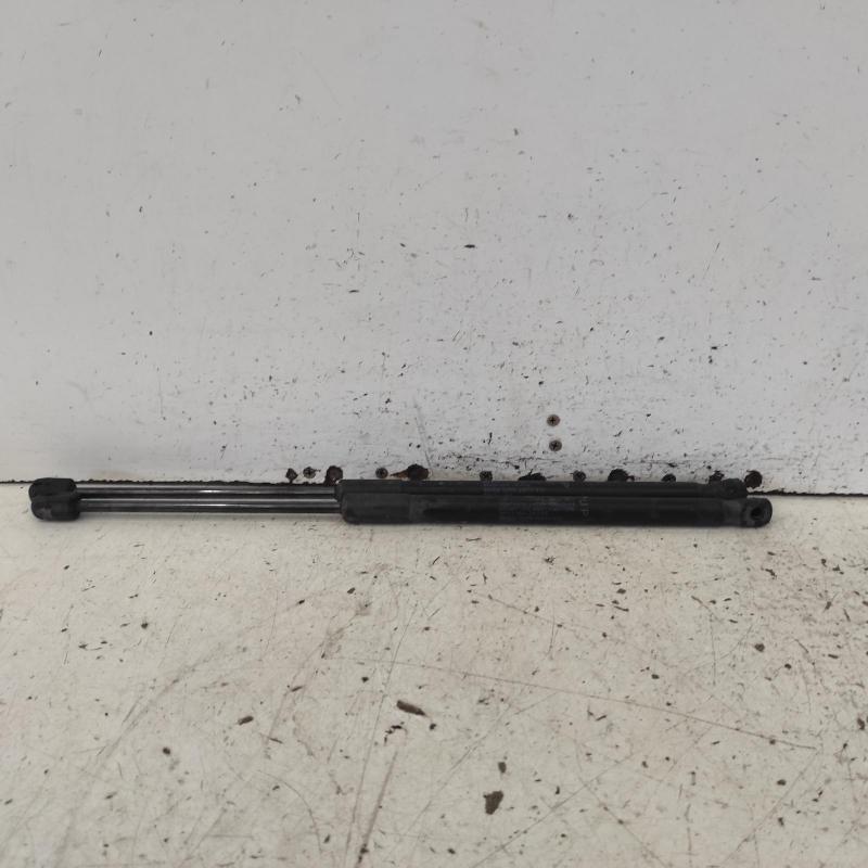 bonnet hinge/strut