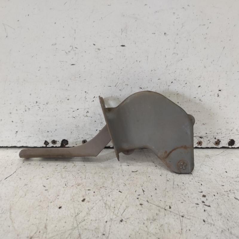 bonnet hinge/strut