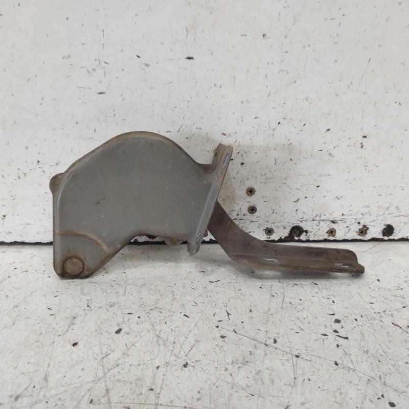 bonnet hinge/strut