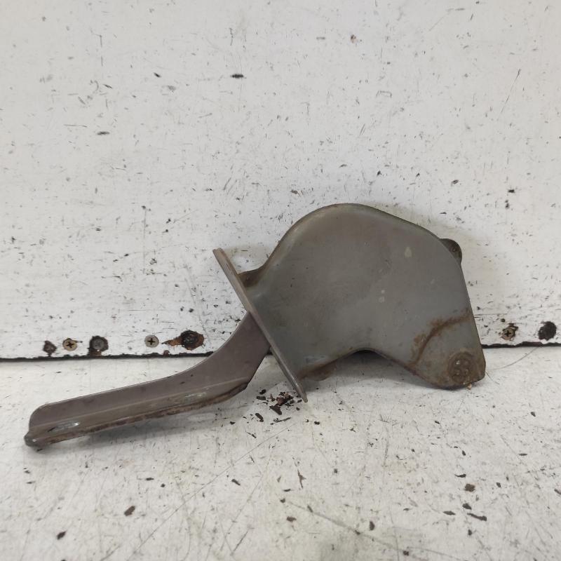 bonnet hinge/strut