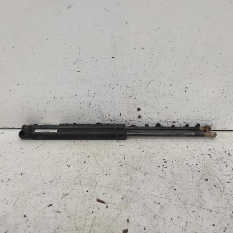 bonnet hinge/strut