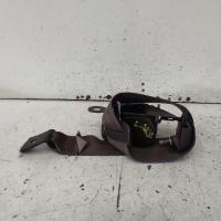 seat belt stalk
