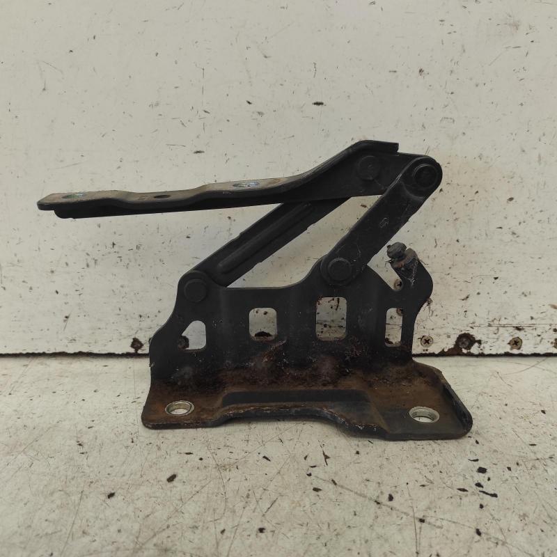 bonnet hinge/strut