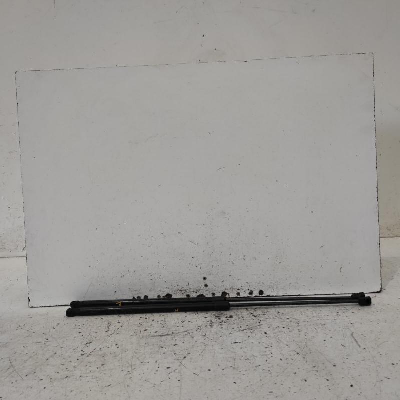 bonnet hinge/strut
